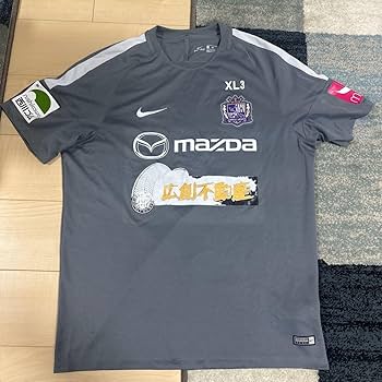 【非売品】サンフレッチェ広島 2014シーズン トレーニングウェア 選手支給品 早い者勝ち】サンフレッチェ広島トレーニングウェア選手支給品